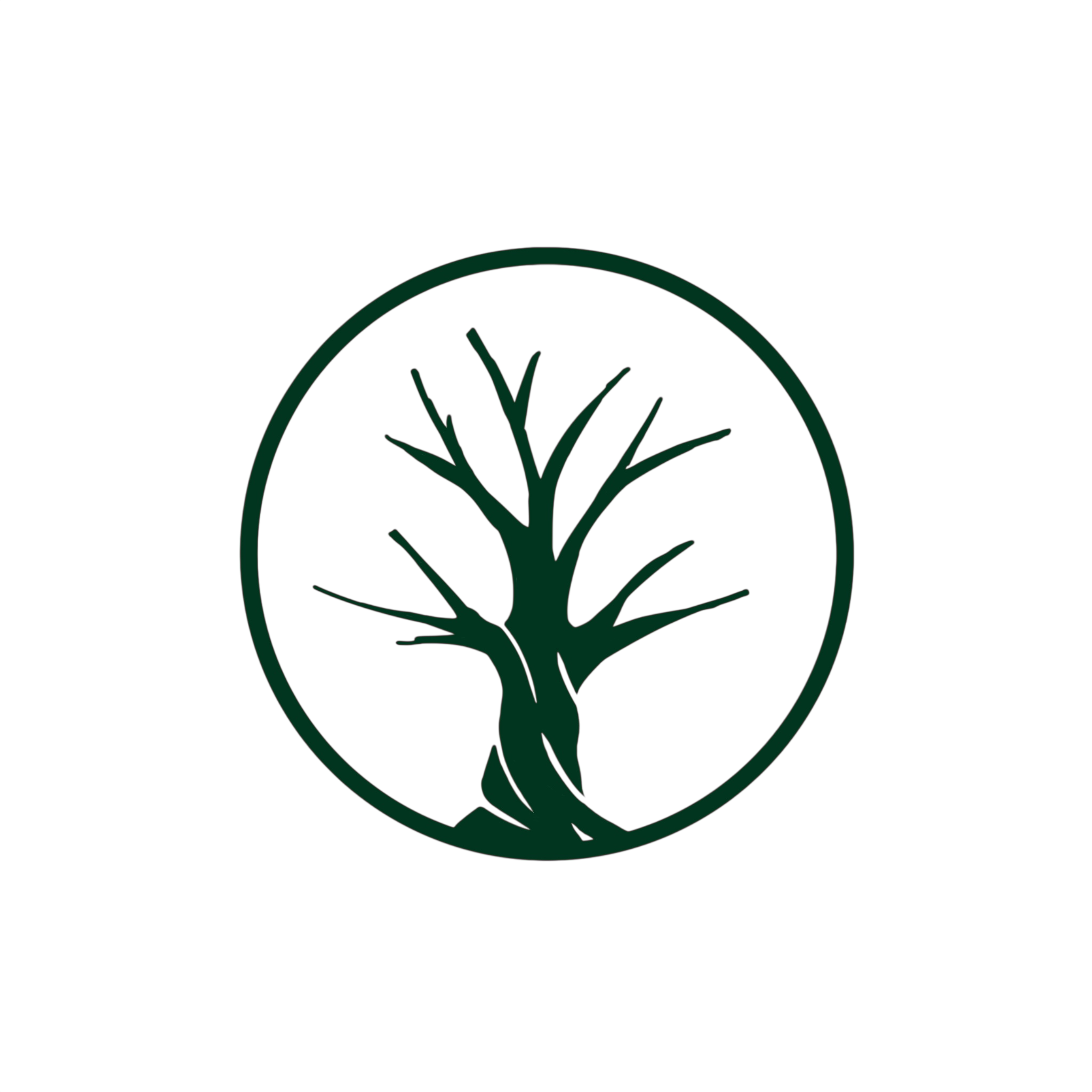 Sygnet BDO